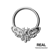MOTH SEPTUM