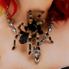 SPIDER PACIFIER CHAIN